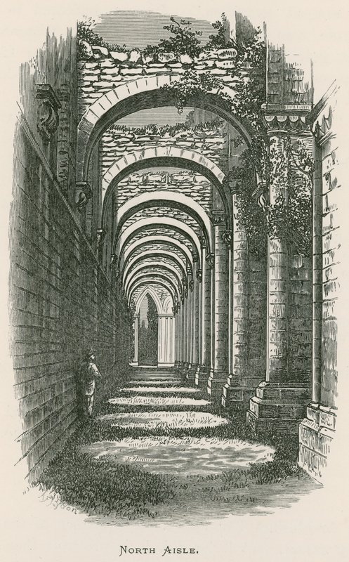 Fountains Abbey, North Aisle od Alexander Francis Lydon