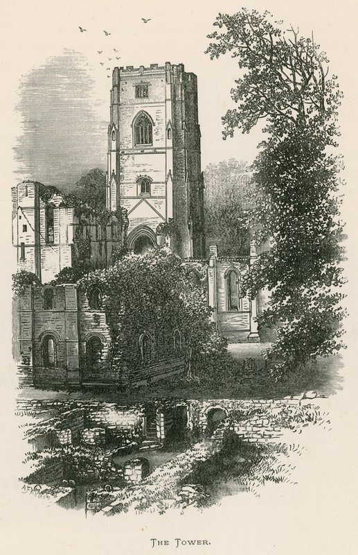 Fountains Abbey, The Tower od Alexander Francis Lydon