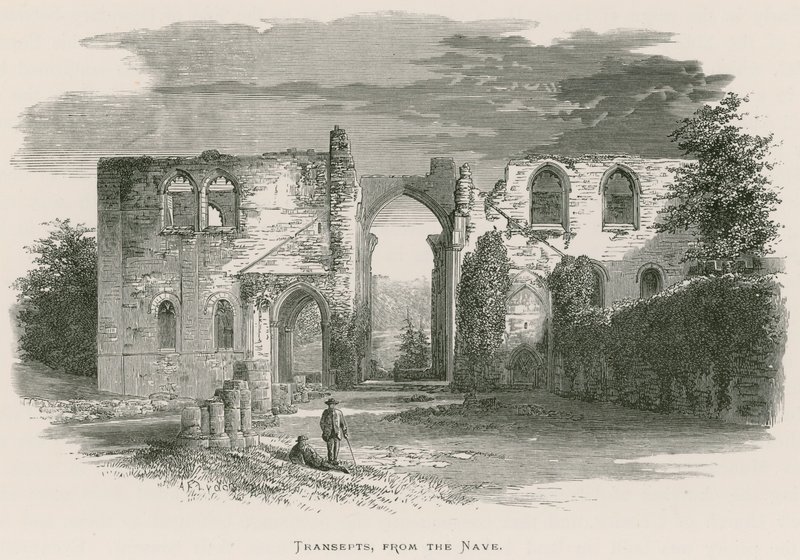 Furness Abbey, Transepty, Z Nave od Alexander Francis Lydon
