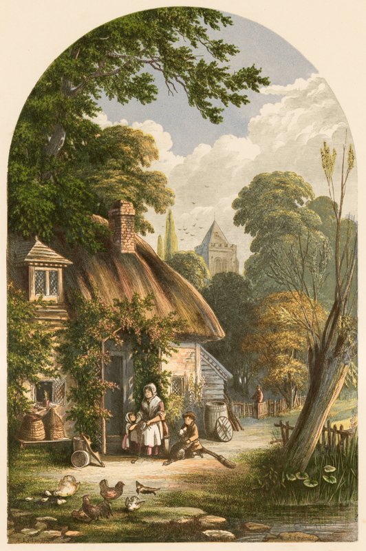 Ilustrace pro Crolyho domácí lásku od Alexander Francis Lydon