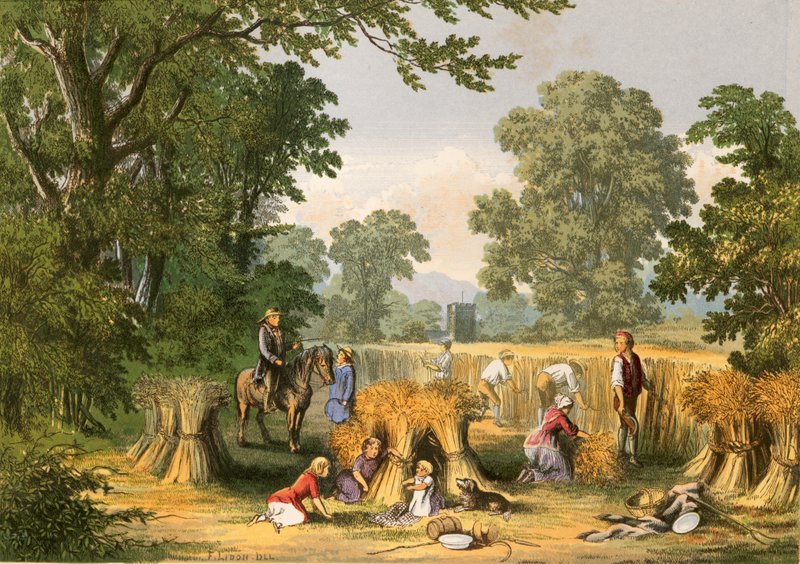 Ilustrace pro Goldsmith