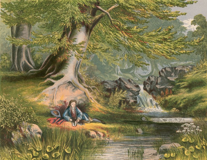Ilustrace k Gray