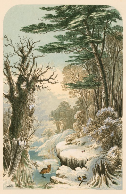 Ilustrace k Longfellowovu lesu v zimě od Alexander Francis Lydon