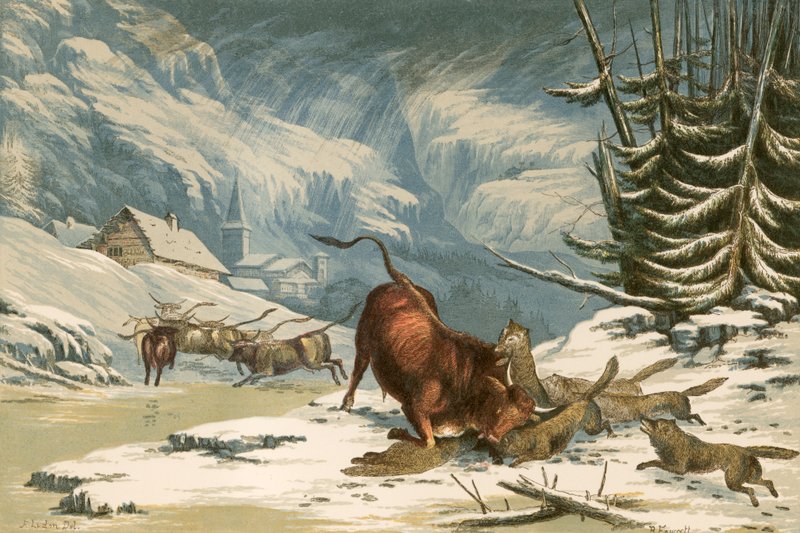 Ilustrace pro Thomson