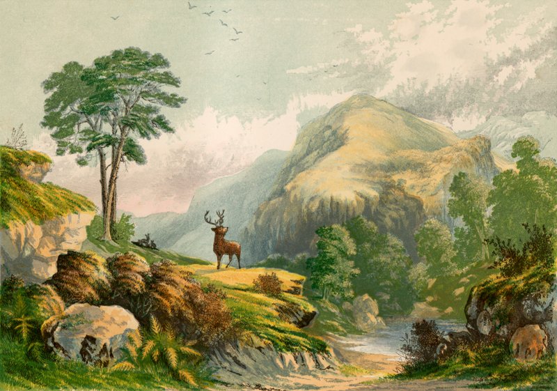 Ilustrace k Wilsonově promluvě k divokému jelenovi od Alexander Francis Lydon