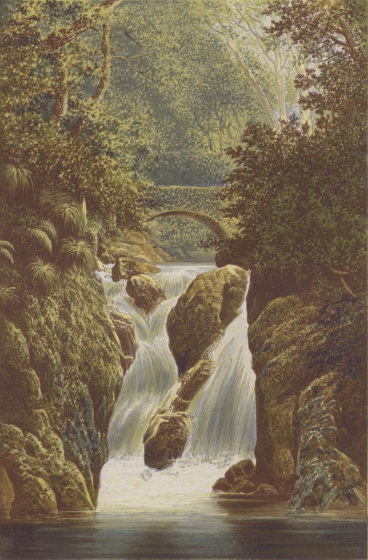 Rydal, Lower Fall od Alexander Francis Lydon