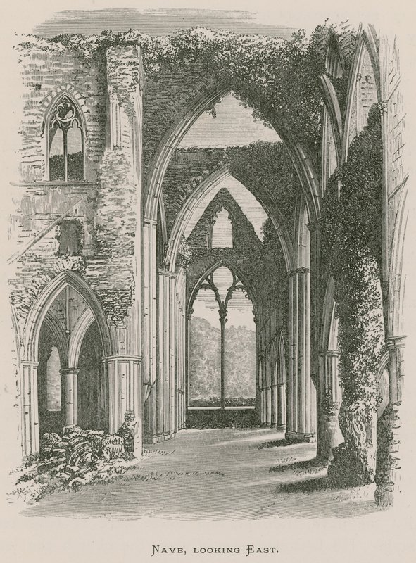 Tintern Abbey, Nave, při pohledu na východ od Alexander Francis Lydon