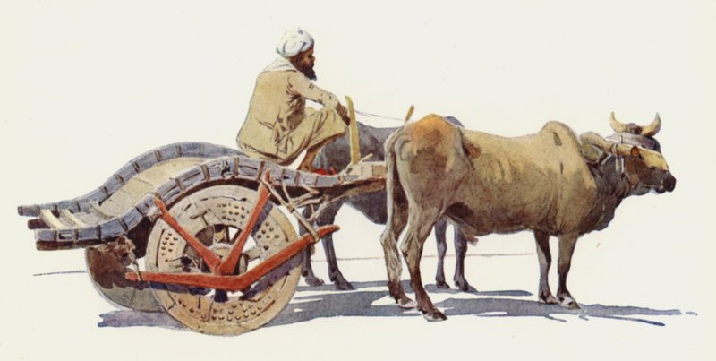Bullockův vozík, Jodhpur od Alexander Henry Hallam Murray