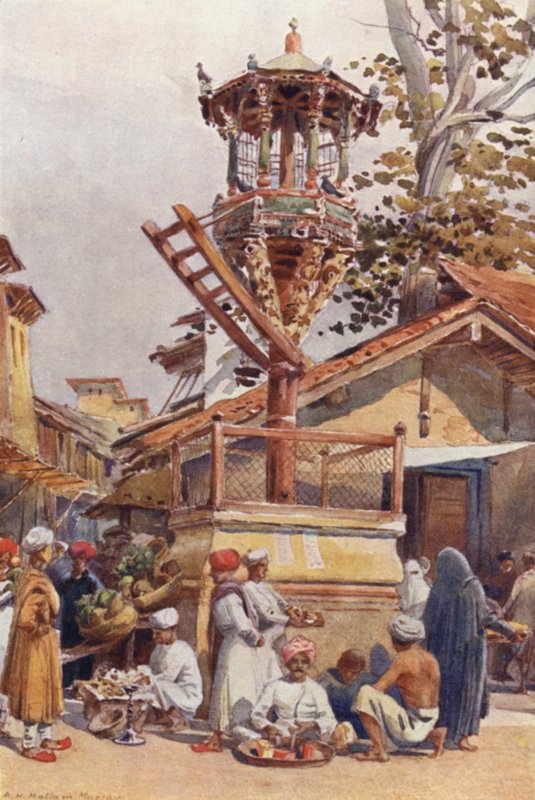 Krmivo pro ptáky, Ahmedabad od Alexander Henry Hallam Murray