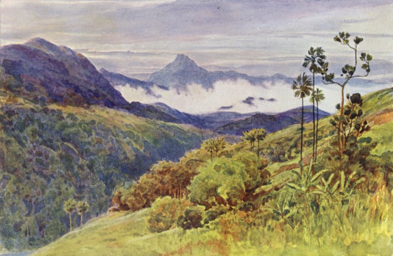 Ranní mlhy v údolí Mahaweli Ganga (barevné lito) od Alexander Henry Hallam Murray