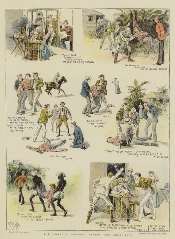 Amatérský lék na uštknutí hadem (chromolitho) od Alexander Stuart Boyd