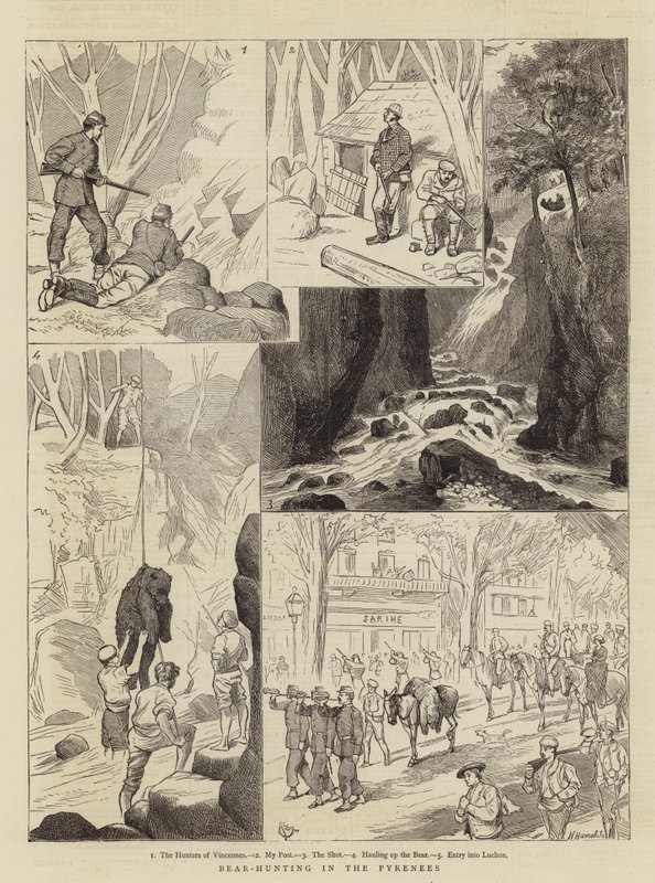 Lov medvědů v Pyrenejích od Alfred Chantrey Corbould