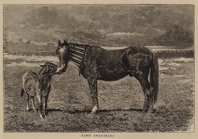 Laskavé dotazy od Alfred Chantrey Corbould