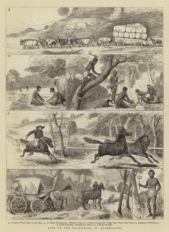 Život v Backwoods of Queensland od Alfred Chantrey Corbould