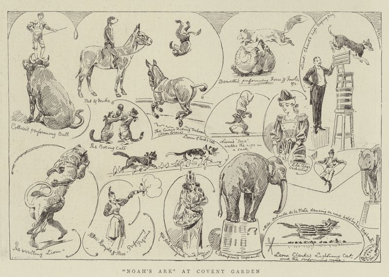 Noemova archa v Covent Garden od Alfred Chantrey Corbould