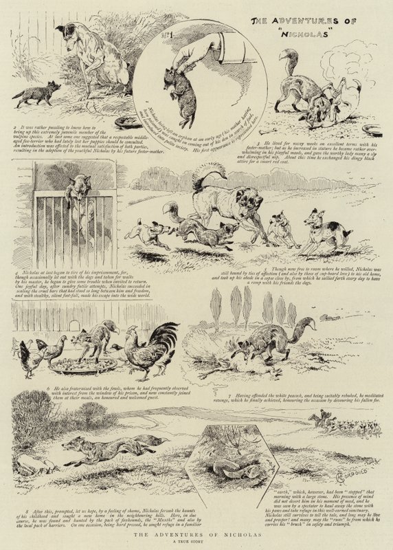 Mikulášova dobrodružství od Alfred Chantrey Corbould