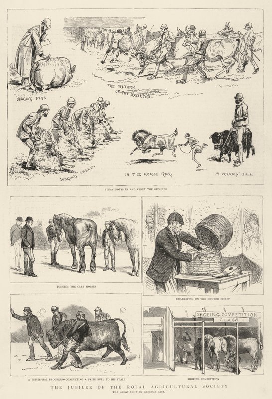 Jubileum Královské zemědělské společnosti od Alfred Chantrey Corbould