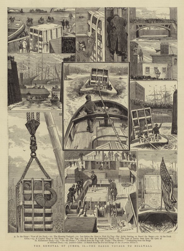 Odstranění Jumbo, II, plavba člunem do Millwallu od Alfred Chantrey Corbould