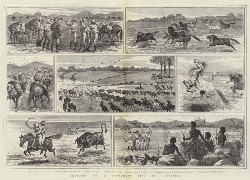 Náčrtky života Stockmana v Austrálii od Alfred Courbould