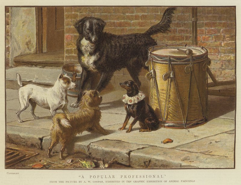 Populární profesionál (chromolitho) od Alfred W. Cooper