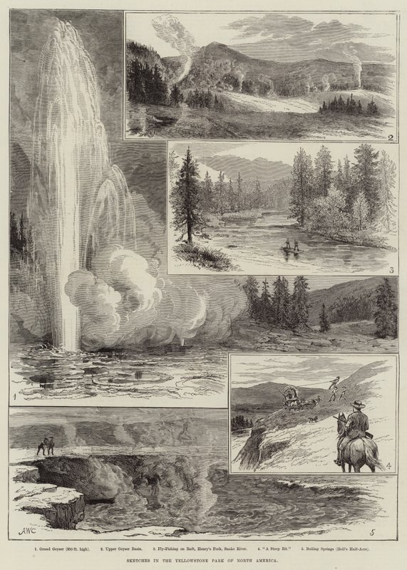 Náčrtky v Yellowstonském parku v Severní Americe od Alfred W. Cooper