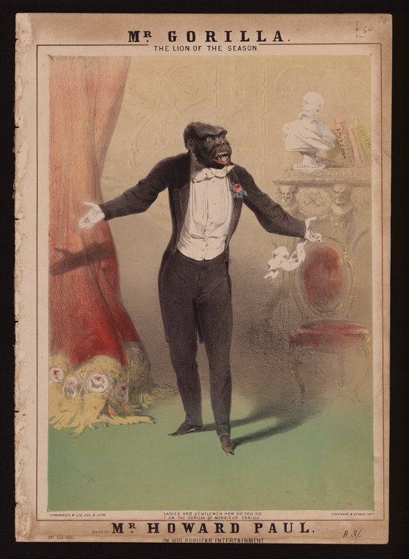 „Jsem gorila monsieur Chaillu“ (barva lito) od Alfred (after) Concanen