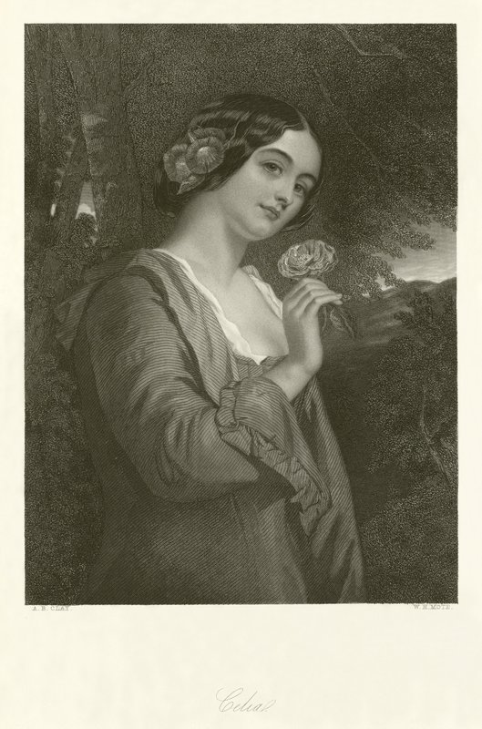 Celia od Alfred Barron Clay
