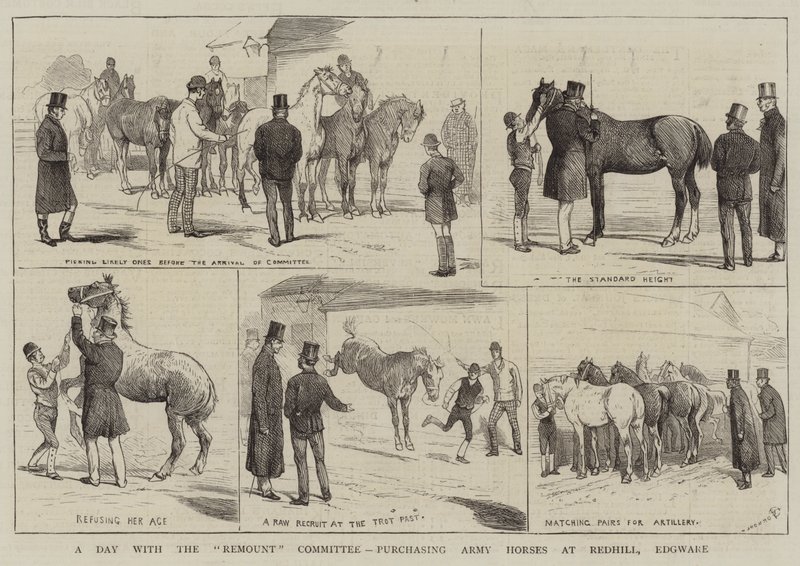 Den s Remount Committee, nákup armádních koní v Redhill, Edgware od Alfred Chantrey Corbould