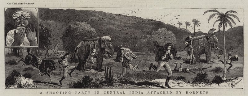 Střelecká strana ve střední Indii napadená Sršněmi od Alfred Chantrey Corbould