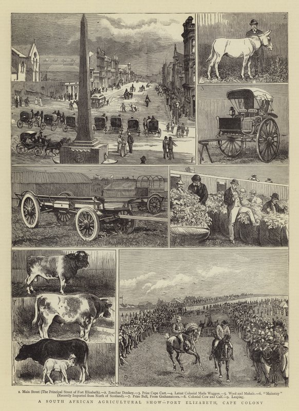 Jihoafrická zemědělská výstava, Port Elizabeth, Cape Colony od Alfred Chantrey Corbould