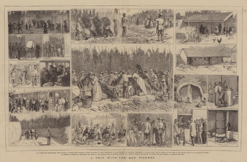 Výlet se Sběrači chmele od Alfred Chantrey Corbould