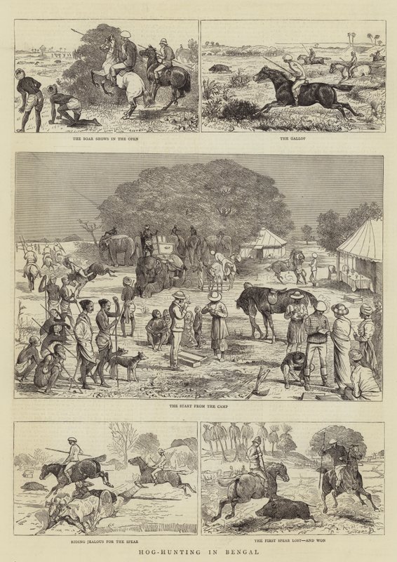 Lov prasat v Bengálsku od Alfred Chantrey Corbould
