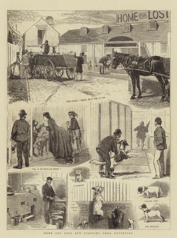 Domov pro ztracené a hladovějící psy, Battersea od Alfred Chantrey Corbould