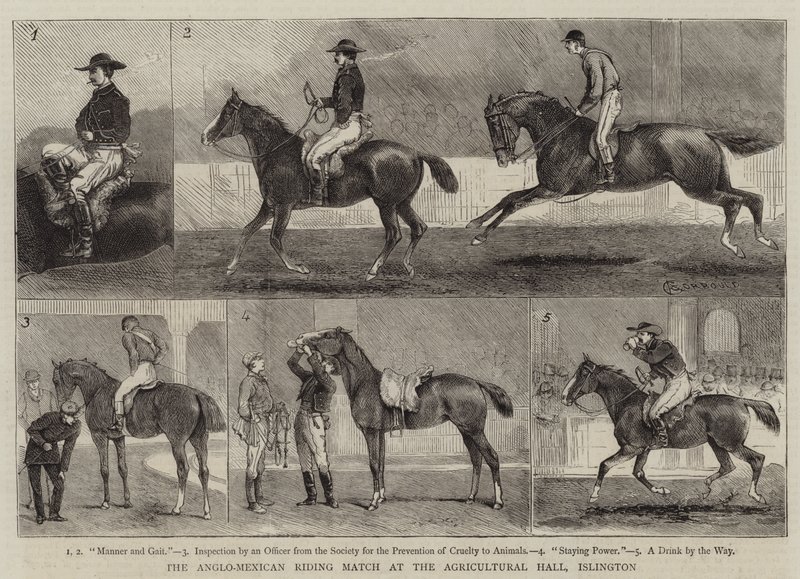 Anglo-mexický jezdecký zápas v Agricultural Hall, Islington od Alfred Chantrey Corbould