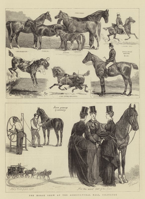 Výstava koní v Agricultural Hall, Islington od Alfred Chantrey Corbould