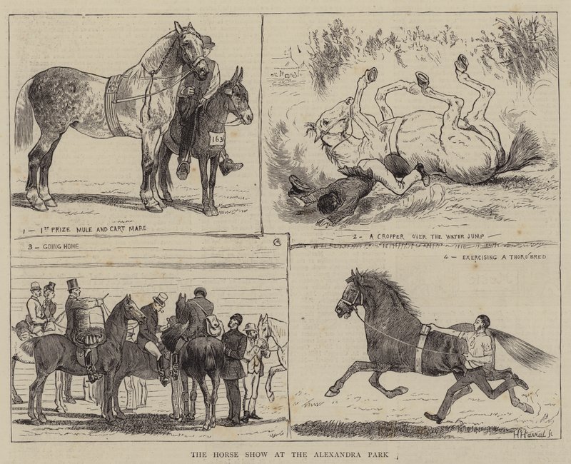 Koňská show v parku Alexandra od Alfred Chantrey Corbould