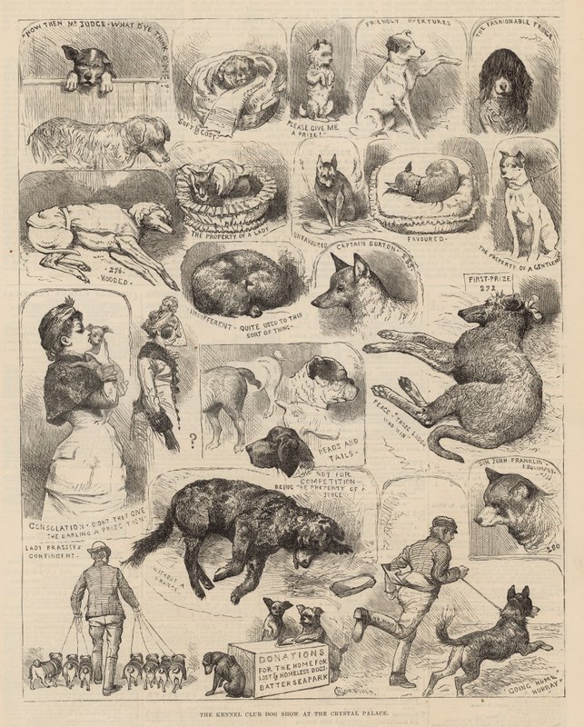 Výstava psů Kennel Club v Crystal Palace od Alfred Chantrey Corbould