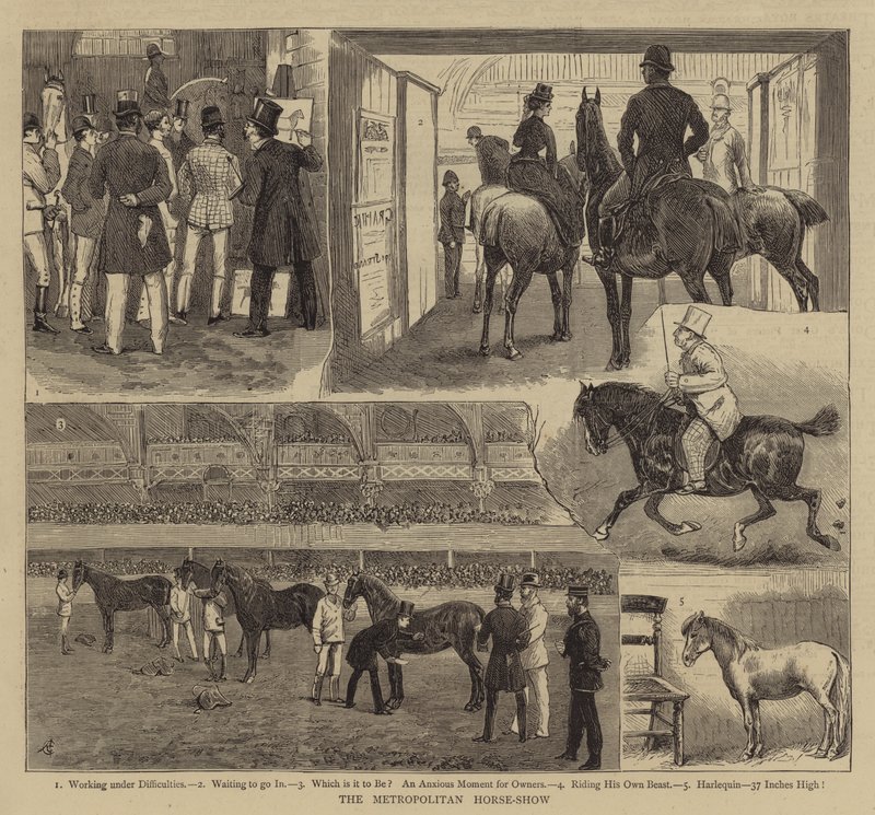 Metropolitní koňská show od Alfred Chantrey Corbould