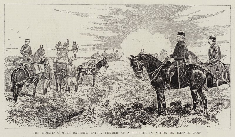 Baterie Mountain Mule, nedávno zformovaná v Aldershot, v akci na Caesarově táboře od Alfred Chantrey Corbould