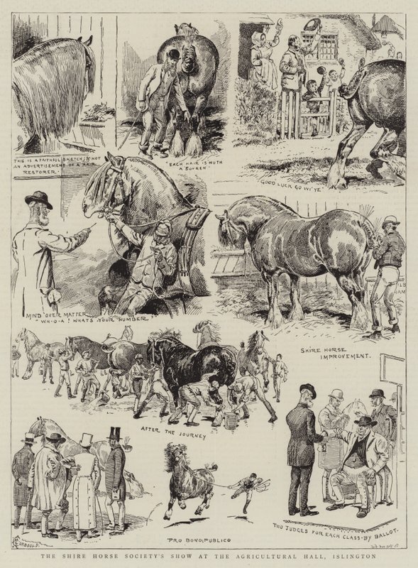 Shire Horse Society Show v Agricultural Hall, Islington od Alfred Chantrey Corbould
