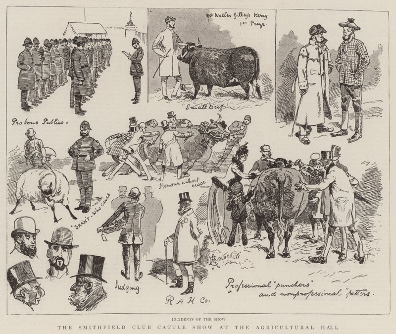 Smithfield Club Cattle Show v Agricultural Hall od Alfred Chantrey Corbould