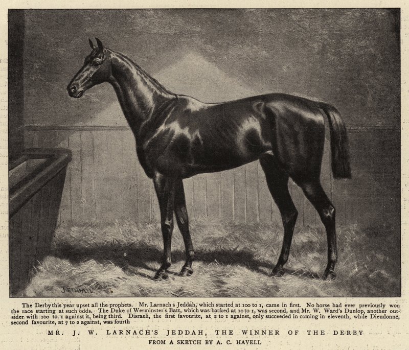 Pan J. W. Larnachs Jeddah, vítěz Derby od Alfred Charles Havell