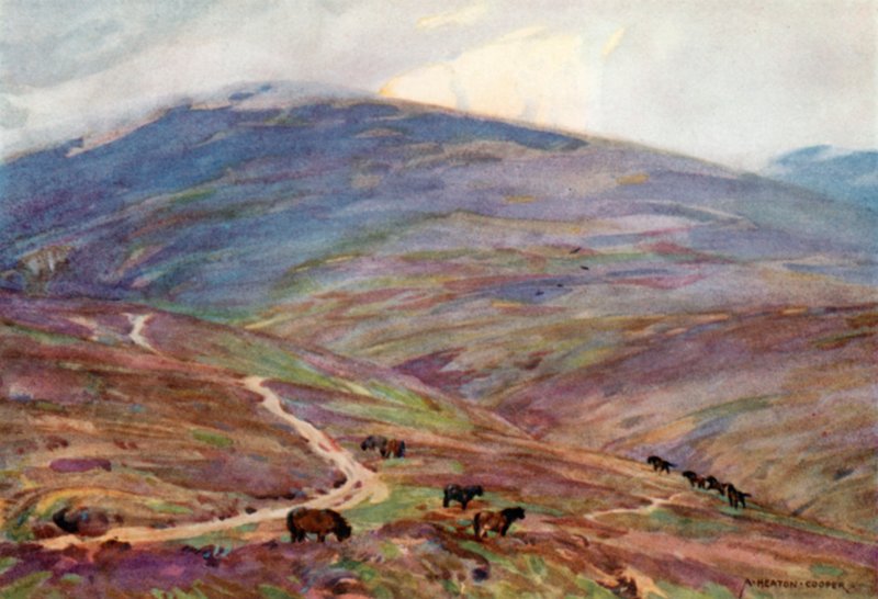 Exmoorští poníci, pod majákem Dunkery (barevné lito) od Alfred Heaton Cooper