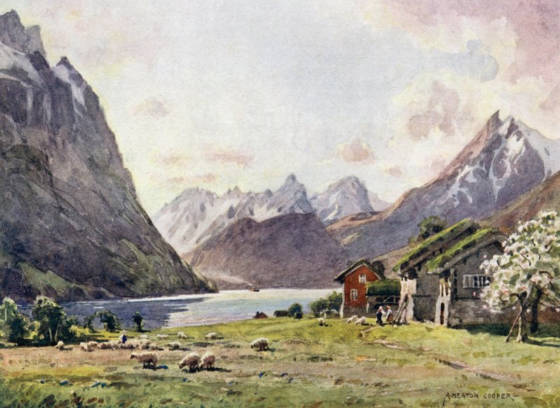 Hjorundský fjord, Husa od Alfred Heaton Cooper