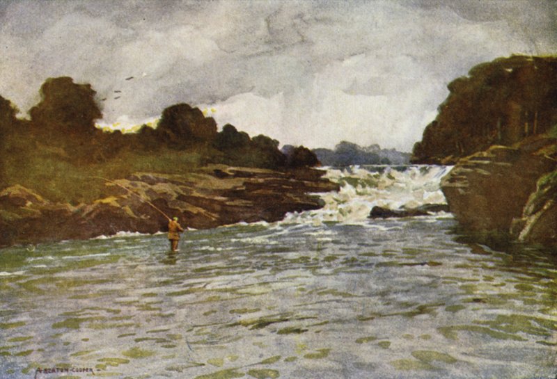Vodopády Kathleens, Ballyshannon od Alfred Heaton Cooper