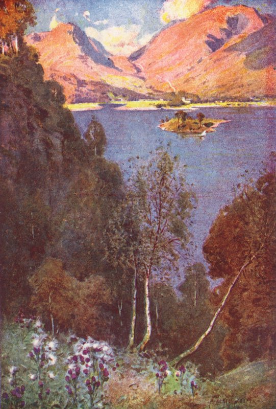 Lake District: Pohled na Grasmere, večerní slunce (barevná litografie) od Alfred Heaton Cooper