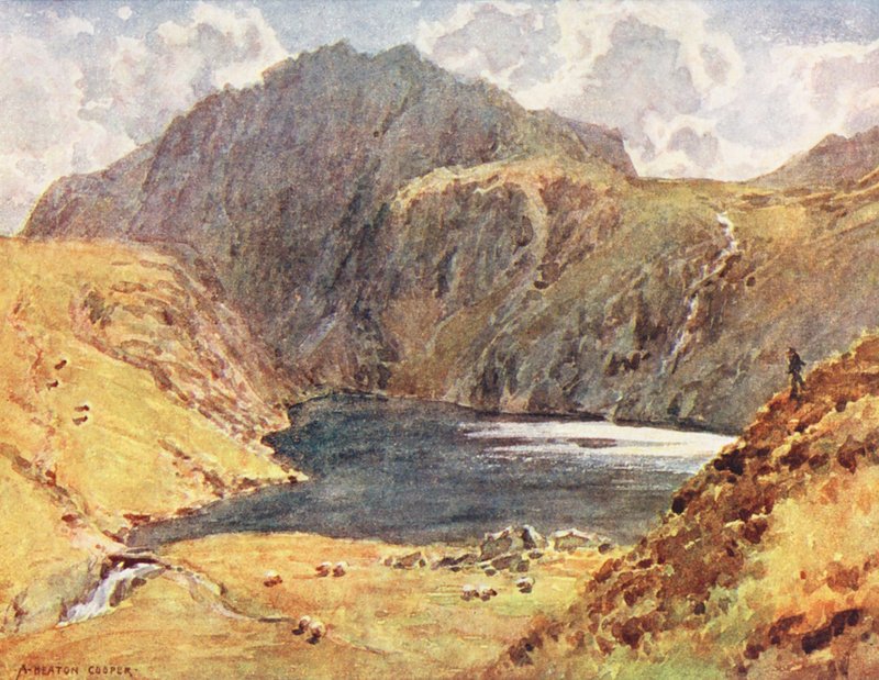 Lake District: Angle Tarn, Esk Hause (barevná litografie) od Alfred Heaton Cooper