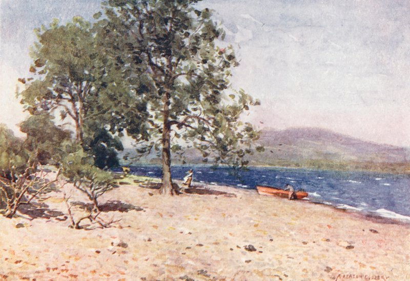 Lake District: Bassenthwaite Lake, větrné ráno (barevná litografie) od Alfred Heaton Cooper