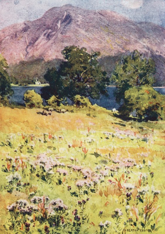 Lake District: Bassenthwaite Lake a Skiddaw (barevná litografie) od Alfred Heaton Cooper