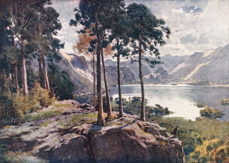 Lake District: Derwentwater, od Castle Head, jasné ráno (barevná litografie) od Alfred Heaton Cooper